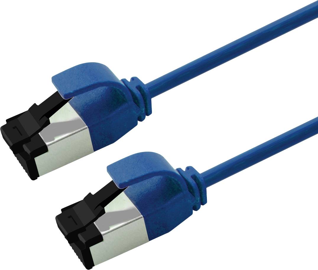 Deux câbles Ethernet bleus avec connecteurs RJ45 sur un fond blanc.