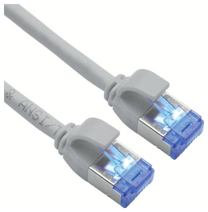 Un câble Ethernet avec deux connecteurs RJ45, chacun doté d'un capot en plastique bleu et d'un blindage métallique, utilisé pour les connexions réseau filaires.