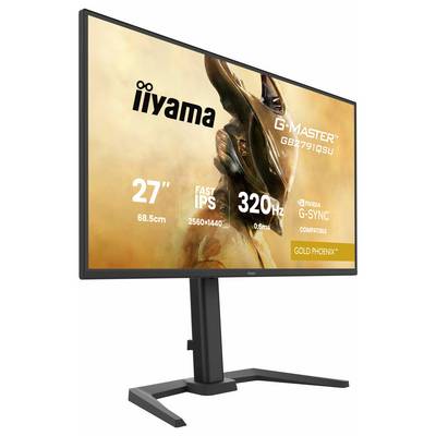 Moniteur gaming Iiyama G-MASTER CEE F (A - G) 68.6 cm 27 pouces 2560 x 1440 pixels 16:9 0.6 ms DisplayPort IPS LED-2