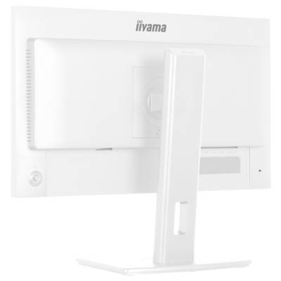 Une télécommande noire avec des boutons pour l'alimentation, le son, la navigation, le menu, l'accueil et des options en code couleur. Marque « iiyama » en bas.