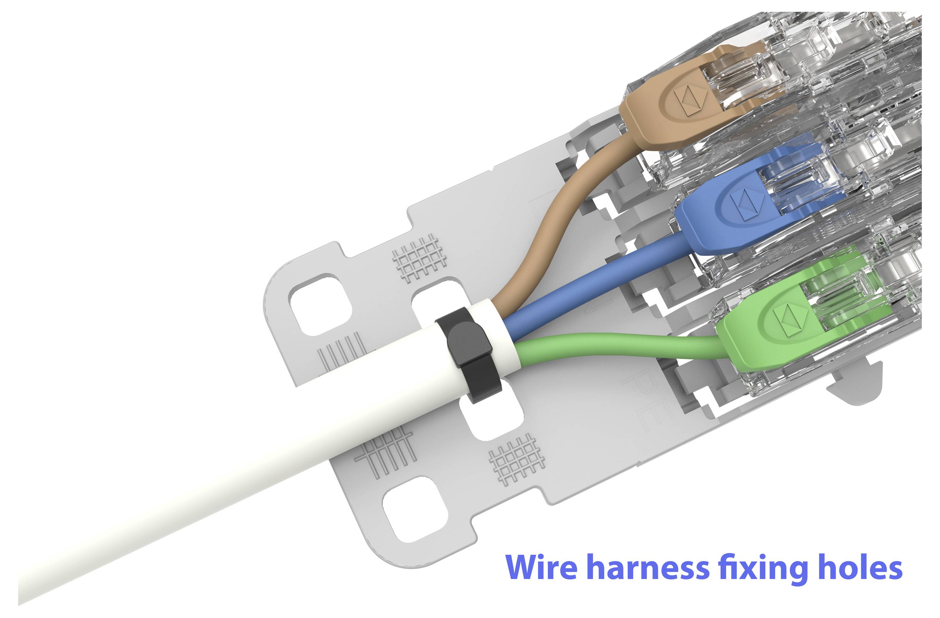 Câble Ethernet vert enroulé en boucle, avec des connecteurs RJ45 noirs à chaque extrémité.
