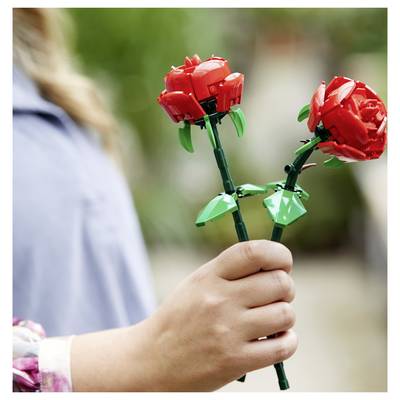Une personne tenant deux roses Lego rouges, une dans chaque main, dans un cadre extérieur.