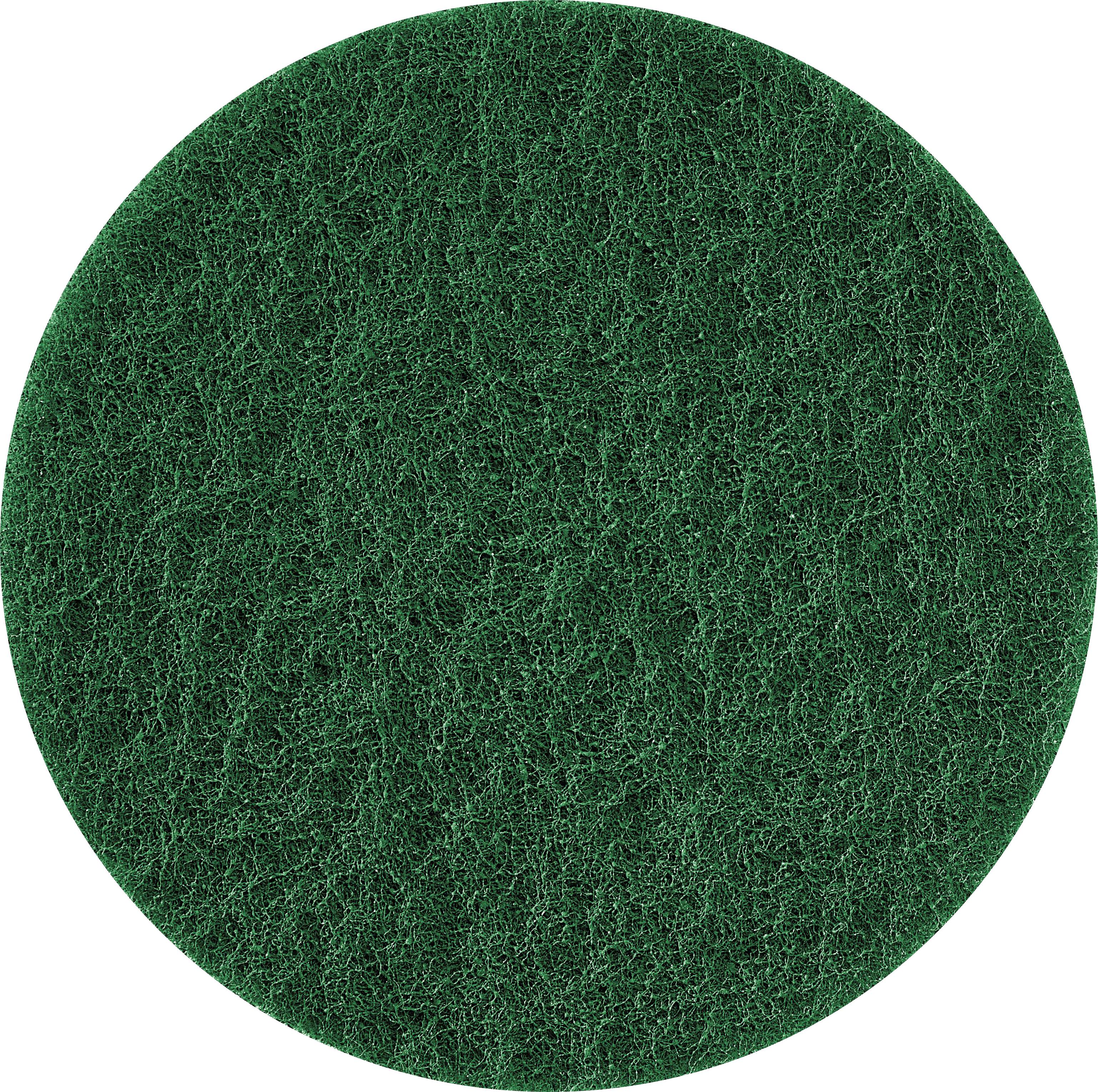 Festool 496510 Toison abrasive D125 green VL/10 125 mm 10 pc(s)-0