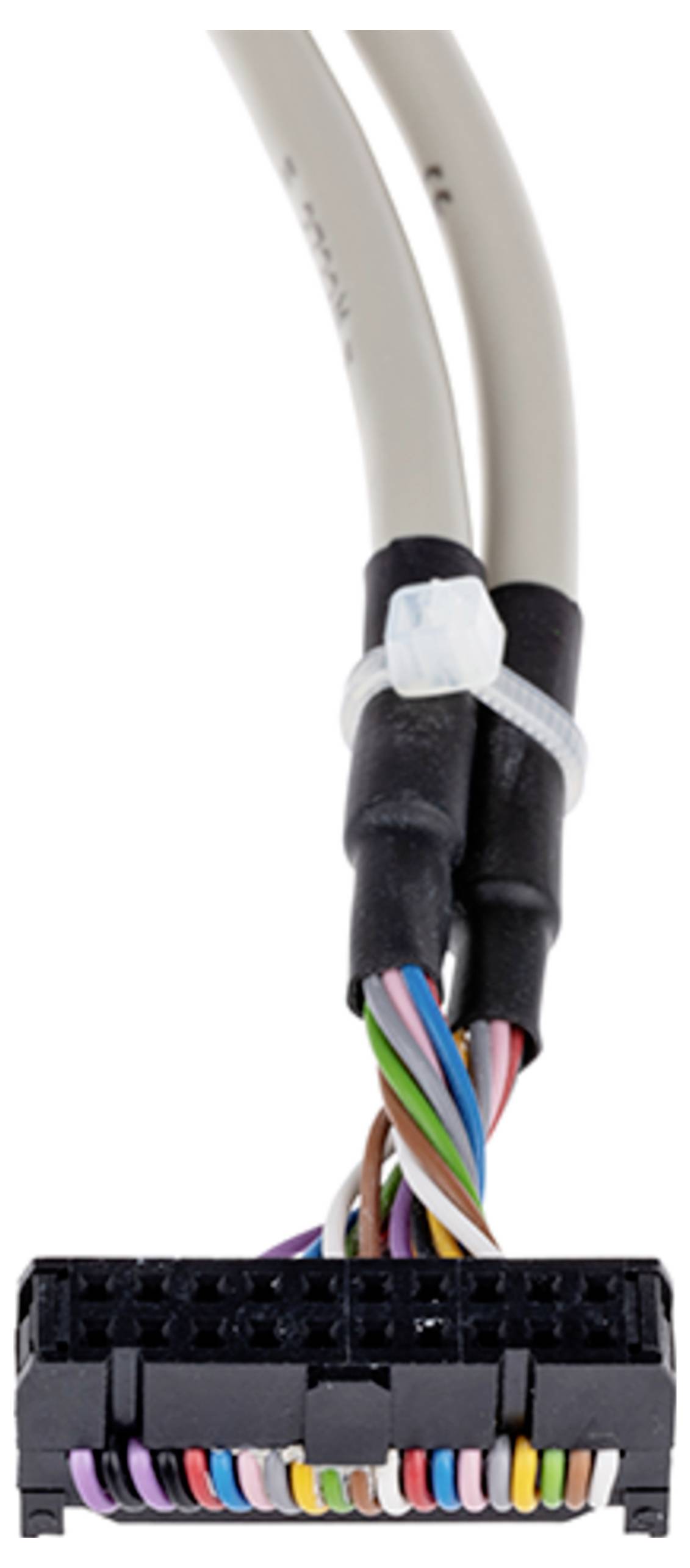 WAGO 706-7753/302-200 Câble de raccordement 1 pc(s)-1