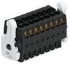 WAGO 713-1105/037-000/036-000 Connecteur femelle 50 pc(s)