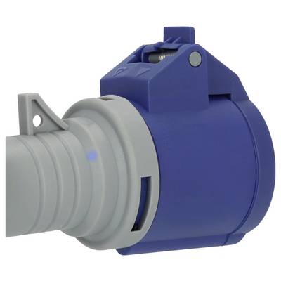Fiche électrique industrielle bleue connectée à un câble d'alimentation gris sur un fond blanc.