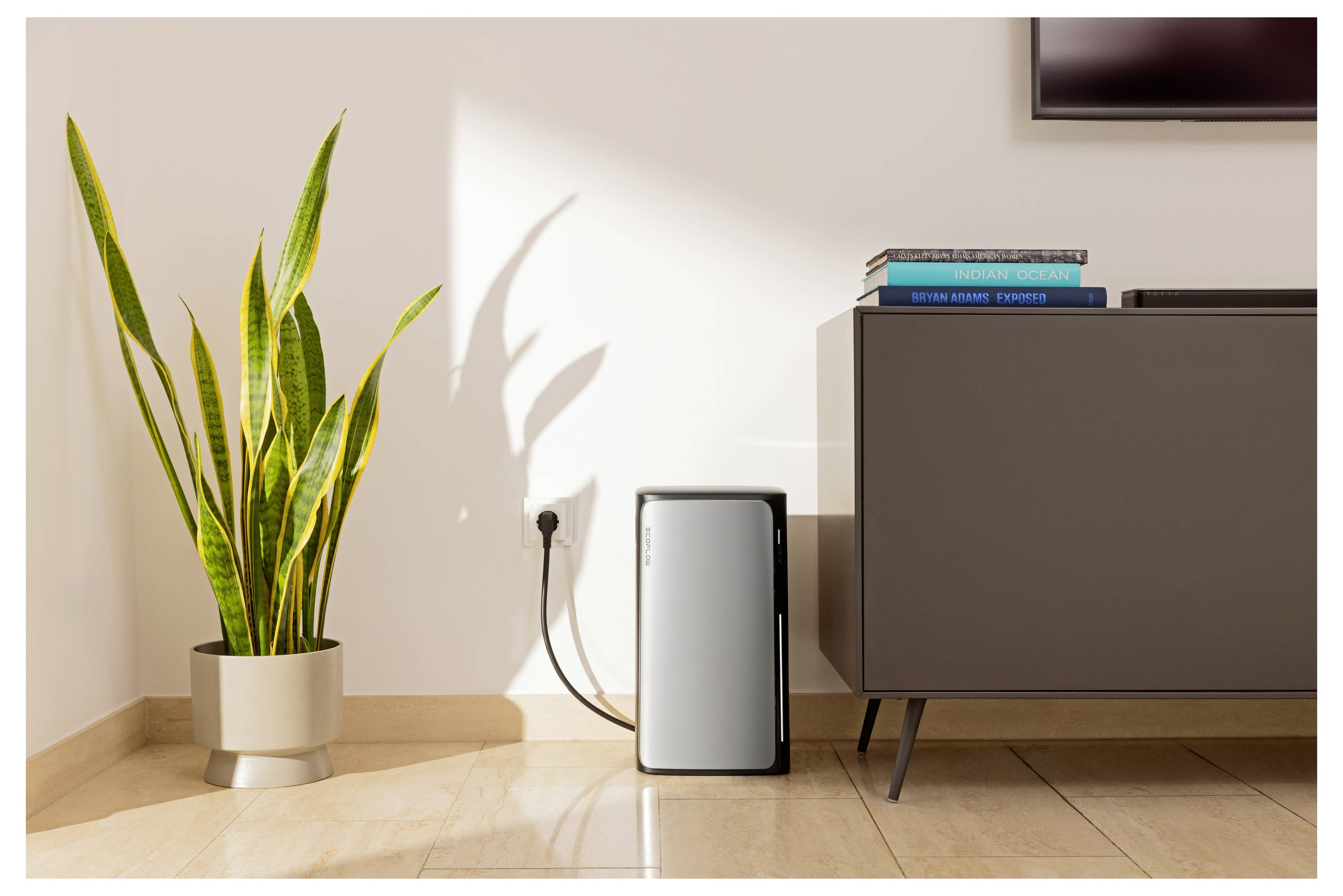 Un purificateur d'air moderne placé à côté d'un meuble gris avec des livres dessus, et une grande plante verte en pot à proximité, reçoit la lumière du soleil.