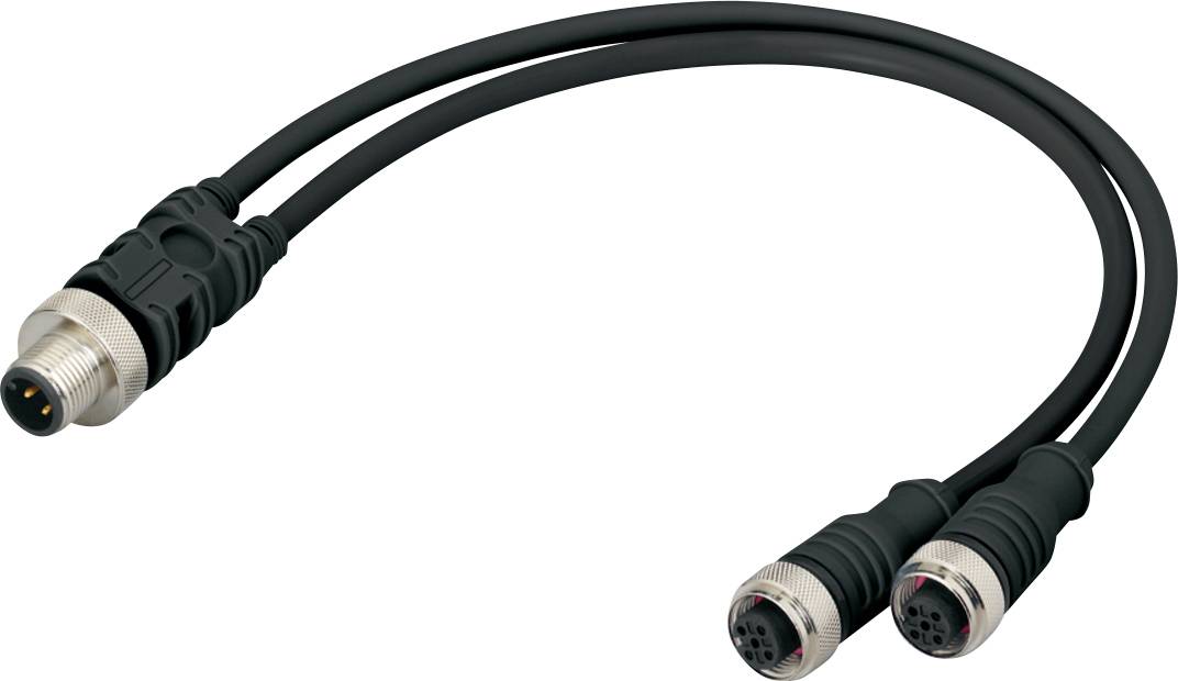 Un câble noir avec un connecteur unique à une extrémité se divise en deux connecteurs à l'autre extrémité, conçu pour les connexions de dispositifs électroniques.