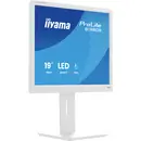 Moniteur LED Iiyama ProLite CEE D (A - G) 48.3 cm 19 pouces 1280 x 1024 pixels 5:4 3 ms DisplayPort, HDMI™ TN LED