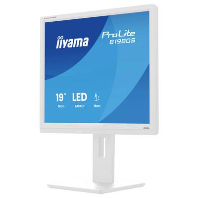Un moniteur iiyama ProLite B1980S LED de 19 pouces avec un socle réglable en hauteur, présentant un écran bleu affichant les spécifications.