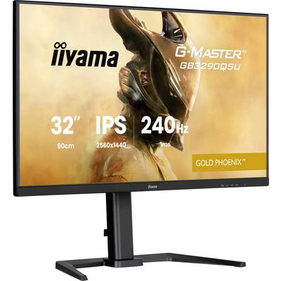 Un moniteur d'ordinateur affichant les spécifications : « 32" IPS, 2560x1440, 240Hz, 1ms ». Marque « Gold Phoenix » d'une série spécifique.