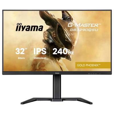 Moniteur gaming Iiyama G-MASTER CEE F (A - G) 80 cm 31.5 pouces 2560 x 1440 pixels 16:9 1 ms IPS LED-1