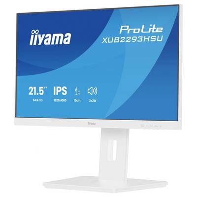 Un moniteur d'ordinateur affichant la marque « iiyama » et le modèle « ProLite XUB2293HSU » sur l'écran, avec les spécifications : 21,5", IPS, 1920x1080.