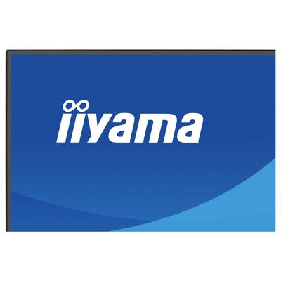 L'image montre le logo d'iiyama, une marque affichée sur un fond dégradé bleu.
