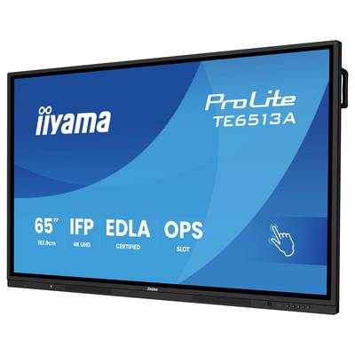 Un moniteur d'ordinateur noir vu de l'arrière, montrant le support et la marque Iiyama en haut.