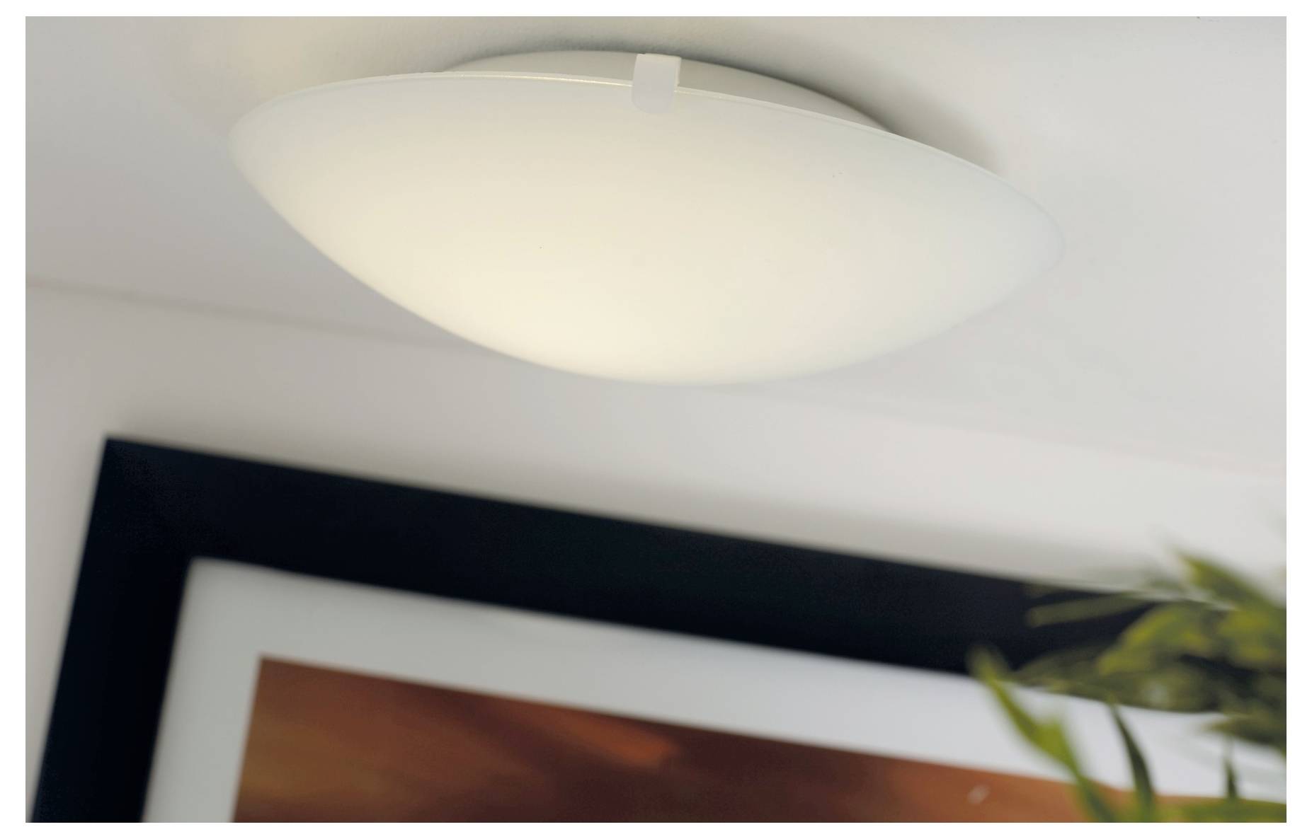 Un luminaire de forme dôme monté au plafond illumine doucement la pièce, mettant en évidence une partie d'un tableau encadré et les feuilles d'une plante à proximité.