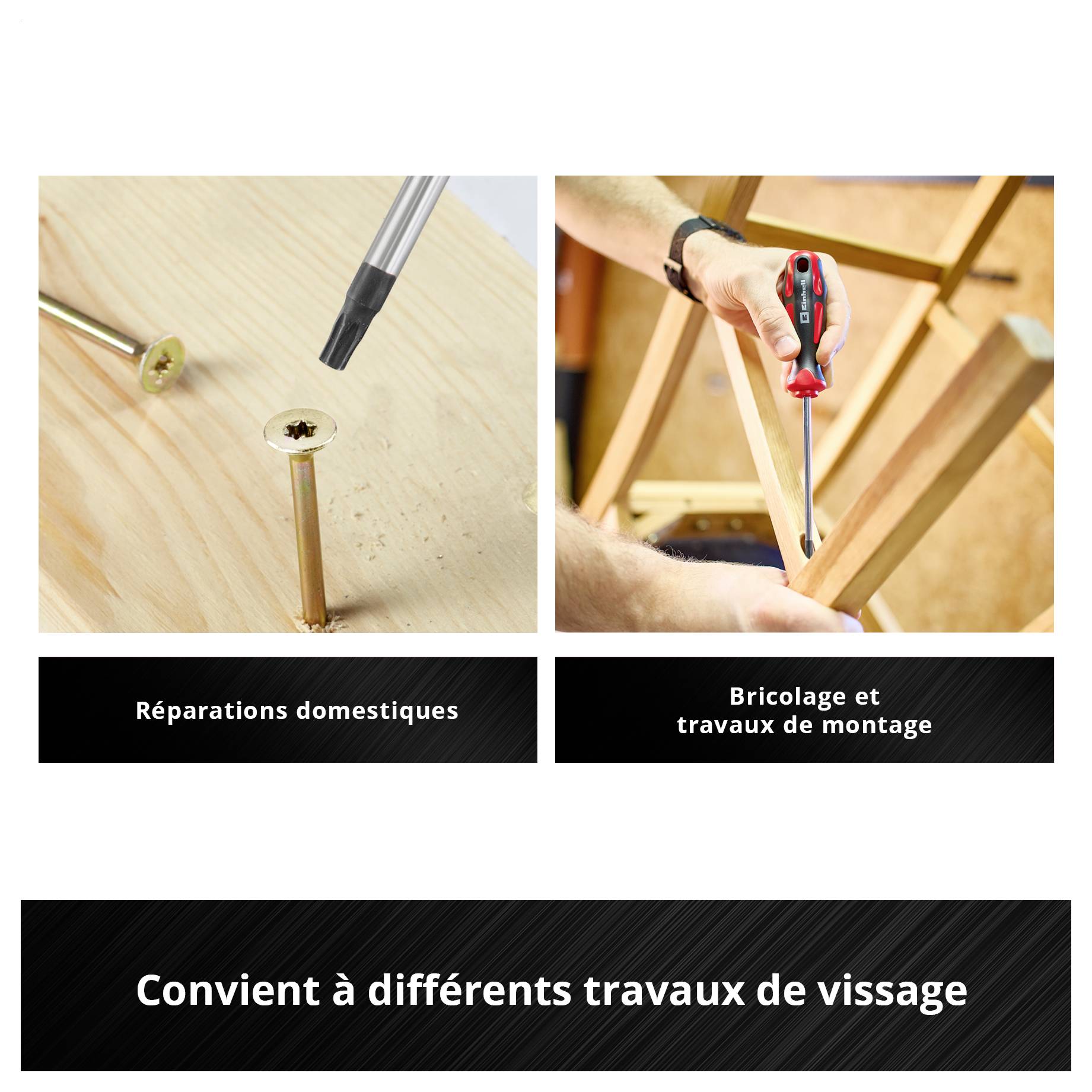 Einhell universel, pour l'atelier Jeu de tournevis Taille (tournevis) T 10, T 15, T 20, T 25, T 30 1 pc(s)-7