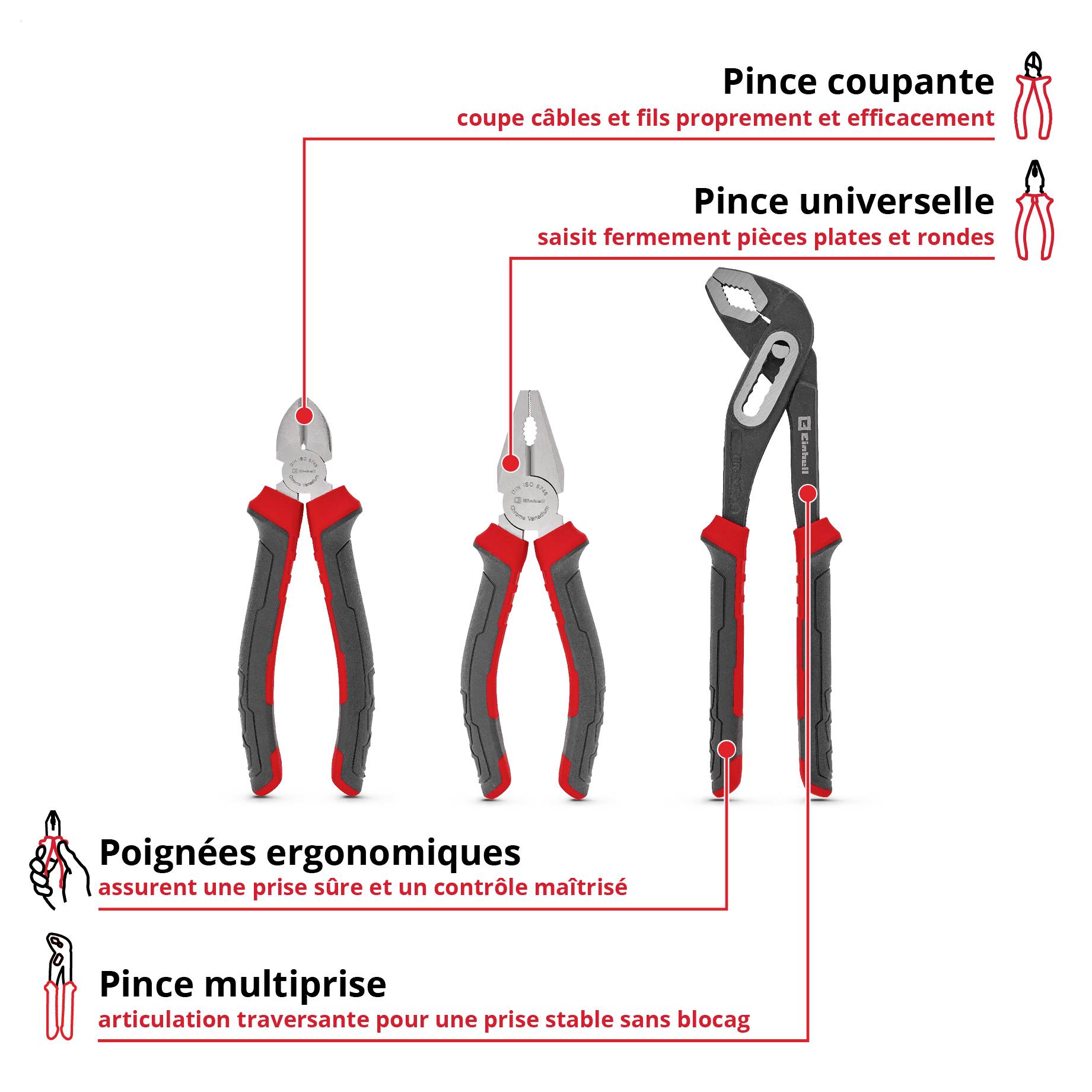 Infographie avec quatre types de pinces et leurs fonctions : la pince coupante coupe les câbles et les fils, la pince universelle saisit les pièces de travail, la pince pour tuyaux pour une prise stable, les poignées ergonomiques pour une prise sûre.