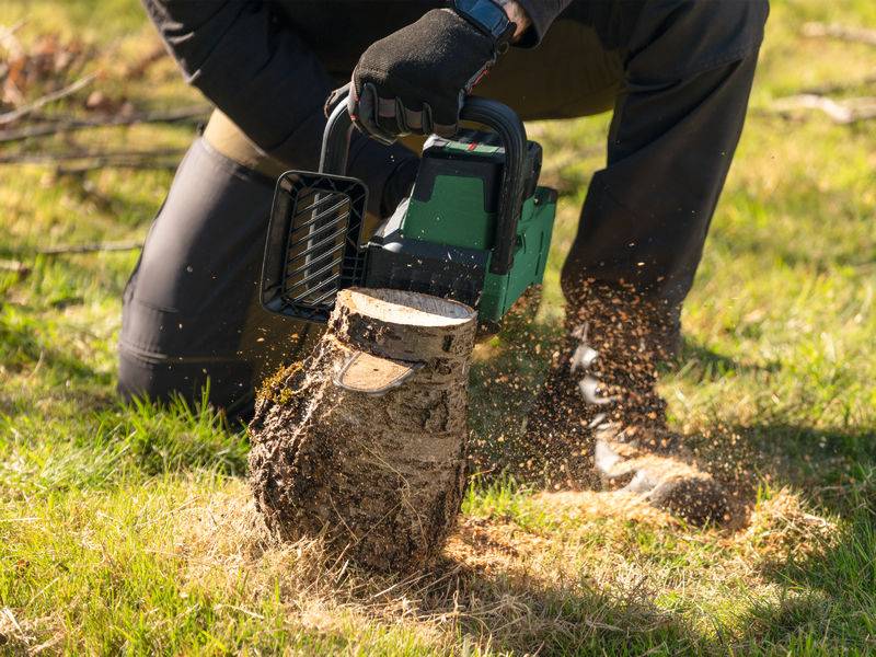 Bosch Home and Garden Tronçonneuse sans fil-5