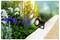 Un chemin de jardin illuminé par un projecteur, entouré d'un feuillage vert luxuriant et de fleurs colorées, y compris des fleurs blanches et bleues.