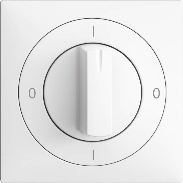 Feller  complet Commutateur rotatif EDIZIOdue blanc 177568 1 pc(s)
