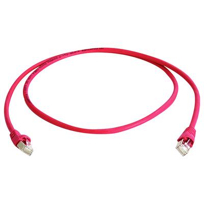 Câble de raccordement Ethernet rouge avec connecteurs RJ45 aux deux extrémités, enroulé sur un fond blanc.