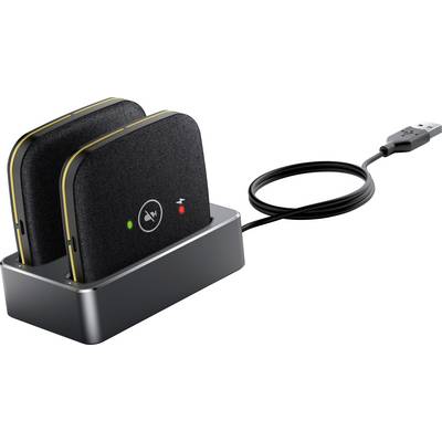 'Socle de charge pour batterie double connecté via USB, tenant deux batteries rectangulaires noires avec des indicateurs LED affichant l'état de charge.'