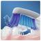 Une illustration montre une brosse à dents aux poils inclinés nettoyant les dents et les gencives, démontrant un mouvement de rotation avec des fibres bleues et blanches.