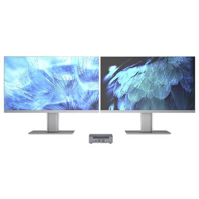 Deux moniteurs côte à côte affichant des images abstraites de plumes de couleur bleue, avec un petit ordinateur de bureau mini PC centré en dessous.