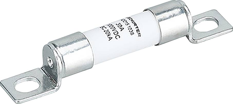 Un fusible électrique cylindrique avec des extrémités métalliques est montré. L'étiquette du fusible indique ses valeurs nominales de tension et d'ampérage.