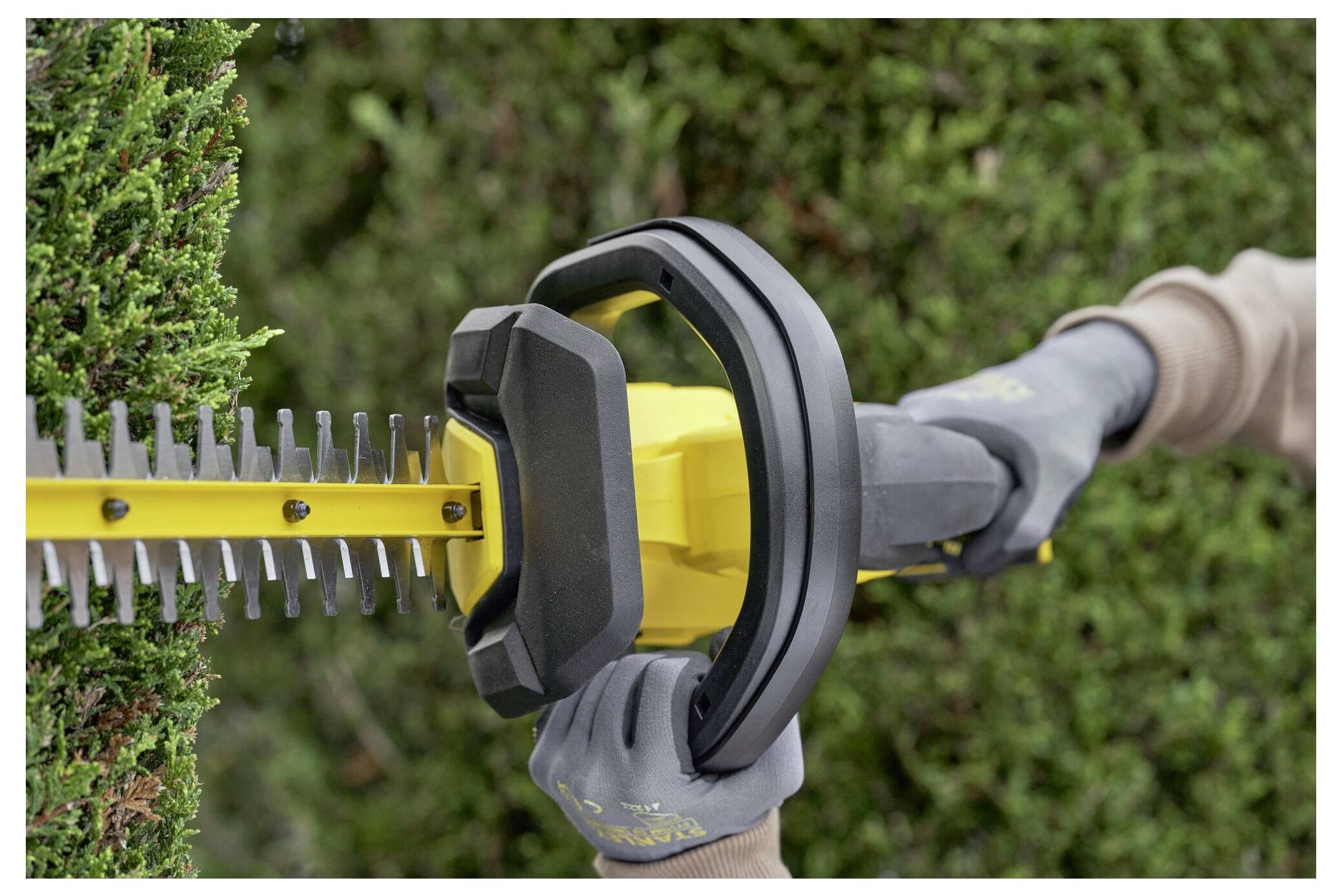 Une personne taille une haie avec un taille-haie électrique jaune et noir, portant des gants gris pour la sécurité.