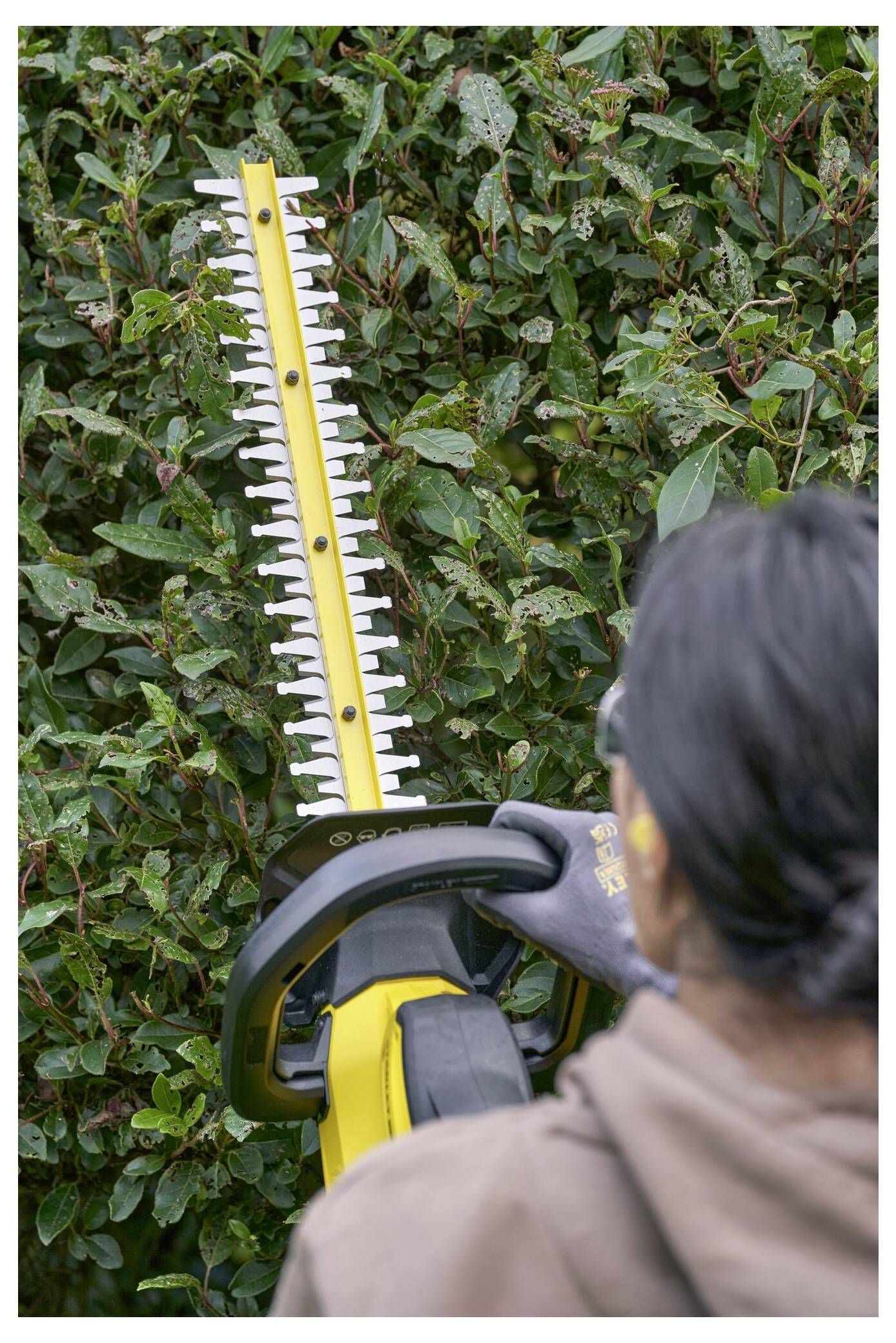 Une personne portant des gants taille une haie avec un taille-haie électrique jaune.
