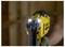 Un gros plan de la main d'un ouvrier tenant un pistolet à ongles jaune avec des lumières LED, concentré sur sa buse, dans un environnement de construction faiblement éclairé.