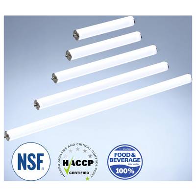 Cinq lumières cylindriques blanches de longueurs variées sur un fond dégradé bleu, avec les certifications NSF, HACCP et « Food & Beverage 100% Safe » affichées ci-dessous.