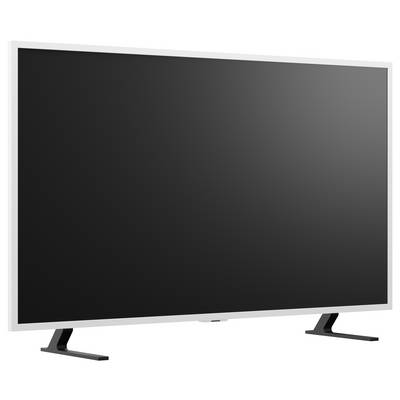 Grand téléviseur écran plat vierge avec un écran noir et un cadre argenté sur deux pieds de support noirs, présenté sur un fond blanc.