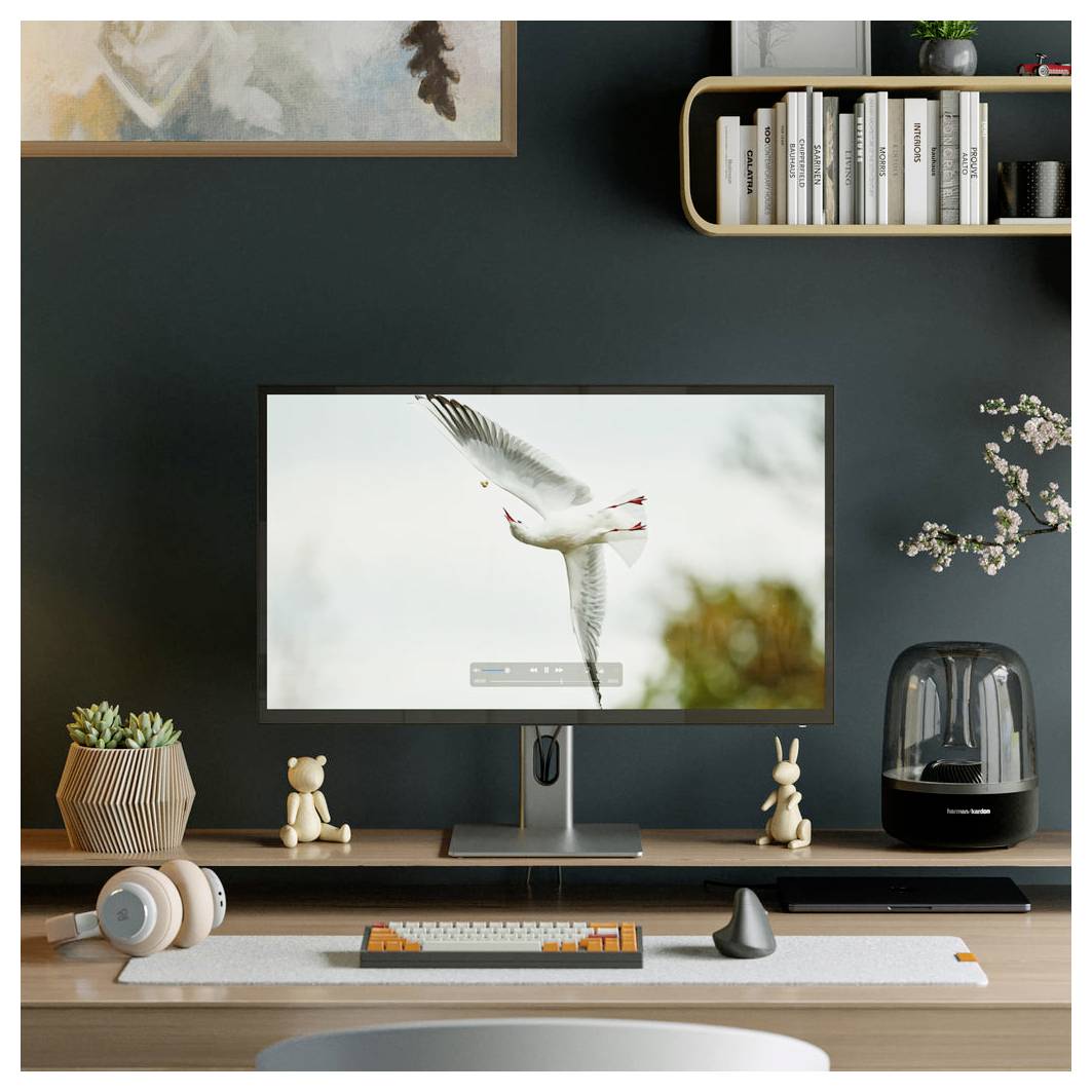 Un espace de travail de bureau avec un moniteur affichant une mouette en vol, un clavier, une souris, des écouteurs, des livres, des plantes et de petits éléments de décoration sur une étagère et un bureau.