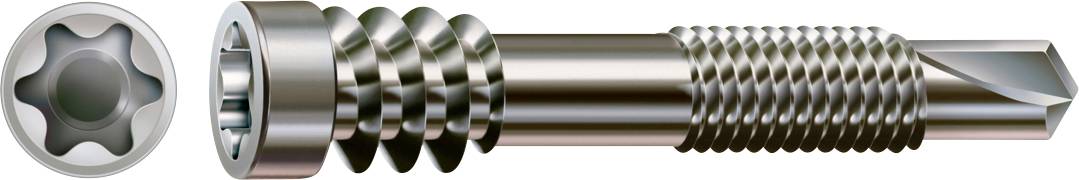 Fixations métalliques présentées en gros plan : une tête de vis Torx à gauche et une vis/boulon fileté assorti à droite.