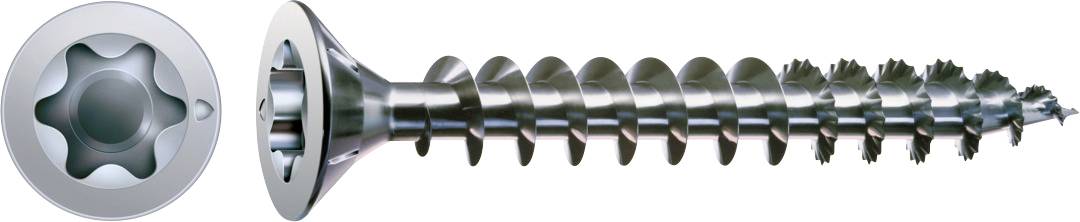 Une vis à tête Torx argentée présentée en vue de profil, avec la tête d'entraînement en forme d'étoile et la tige filetée visibles.