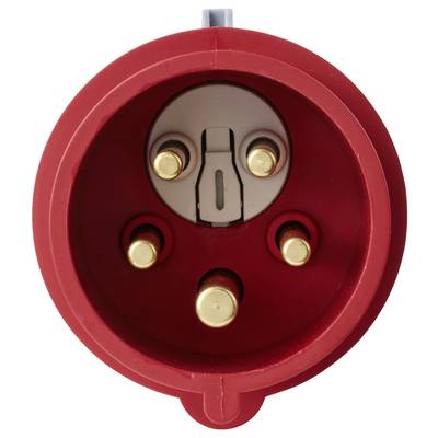Gros plan d'un connecteur de prise électrique industrielle rouge avec quatre broches en laiton et une fente de verrouillage.
