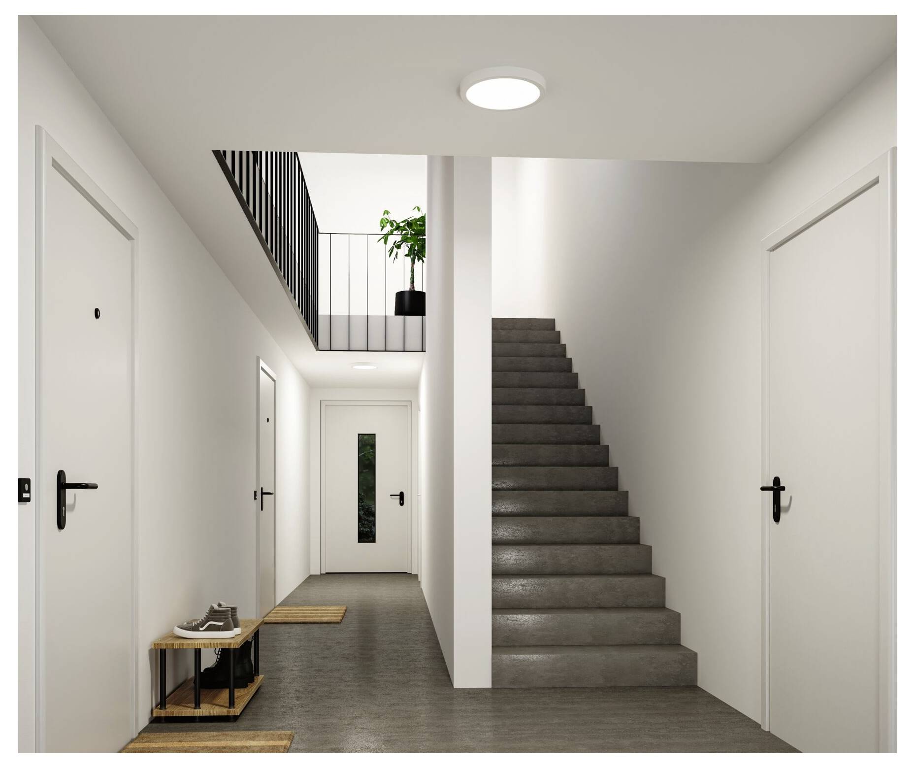Couloir intérieur moderne avec plusieurs portes blanches, escalier, palier éclairé par un puits de lumière, et plante en pot, vue depuis l'entrée.