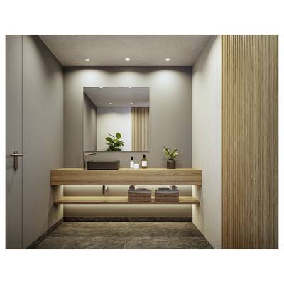 Salle de bain minimaliste moderne avec meuble-lavabo en bois, miroir, lavabo et petites plantes, vue depuis l'embrasure de la porte