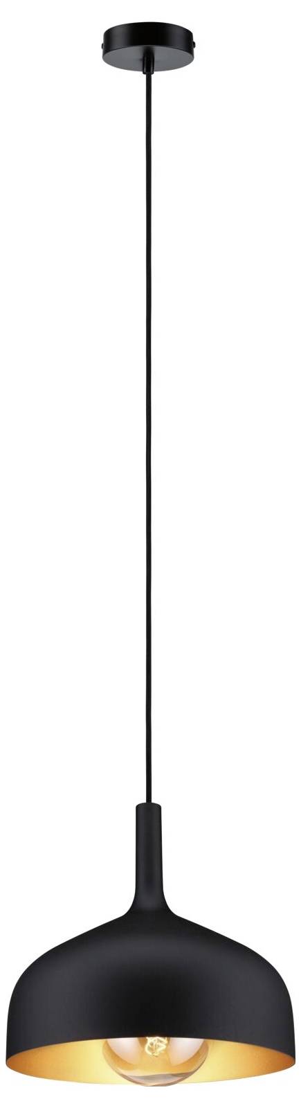 Luminaire suspendu noir avec abat-jour en dôme et ampoule apparente, suspendu par un long cordon, présenté sur fond blanc.