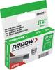 Arrow Tool Group 382157 Agrafes fil fin 500 pc(s)