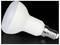 Gros plan d'une ampoule LED blanche avec une base à vis sur un fond noir.
