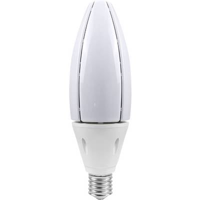 Une ampoule LED blanche avec une base de vis argentée sur un fond uni.
