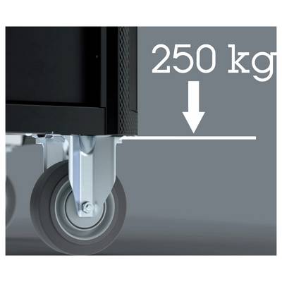 Roulette pivotante supportant une charge de 250 kg, illustrée avec une flèche pointant vers le bas indiquant la capacité de charge.