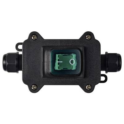 Hublot de visualisation en ligne industriel noir ou capteur de débit avec fenêtre centrale transparente montrant un composant interne vert, isolé sur fond blanc
