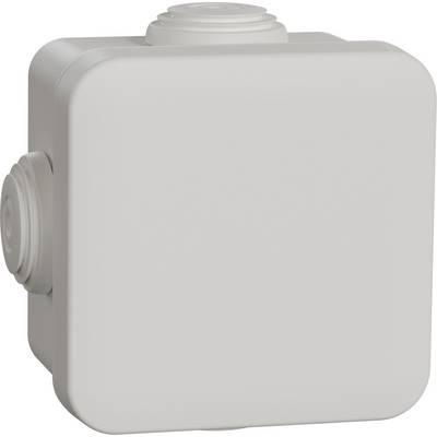 Schneider Electric IMT05022 Boîte de dérivation (L x l x H) 65 x 65 x 65 mm 5 pc(s)-0