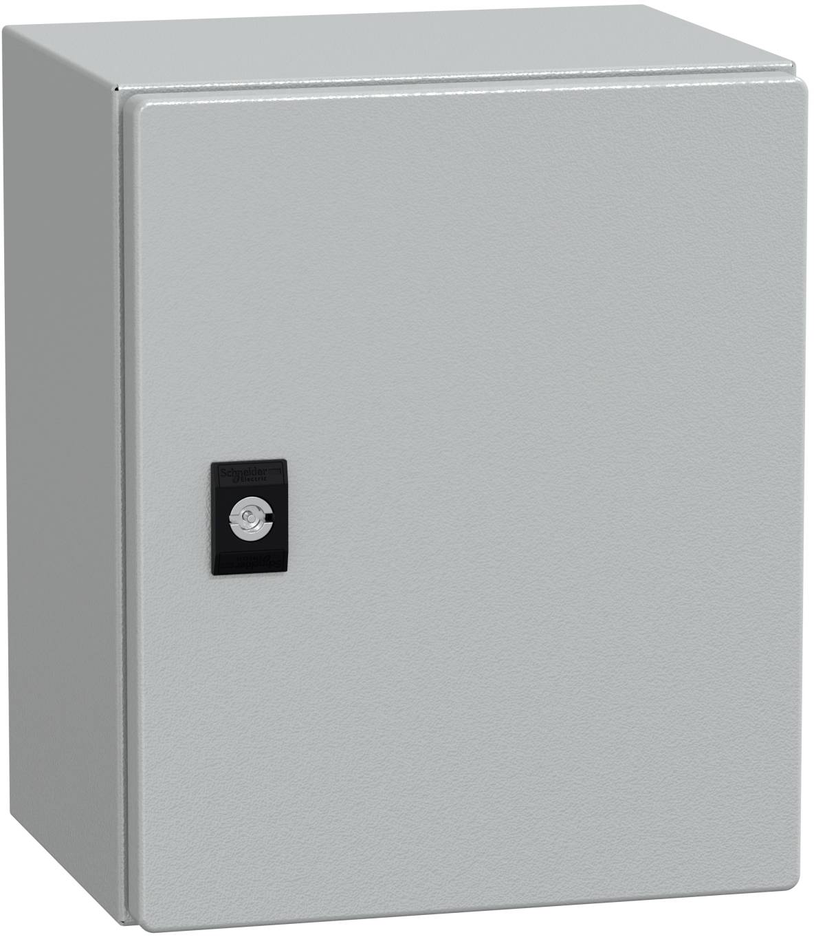 Schneider Electric NSYCRN325200P Porte gris 1 pc(s)-0