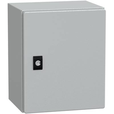 Schneider Electric NSYCRN325200P Porte gris 1 pc(s)-0